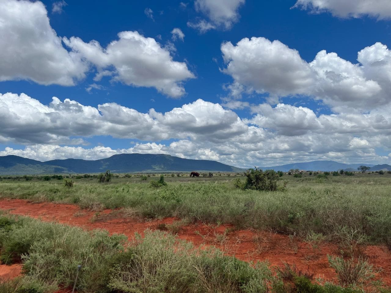 green grass and red terrain