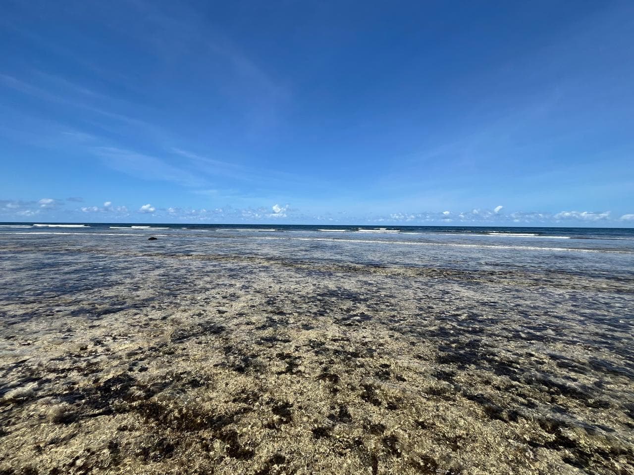 ocean and blue sky